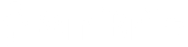MiniBrikz